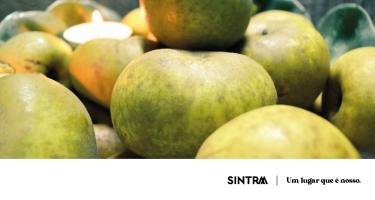 Estudo confirma qualidades únicas da Maçã Reineta produzida em Sintra
